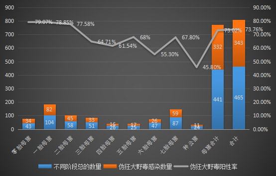 湖北金农谷,猪精,公猪精液,猪精液厂家